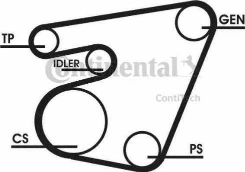 Continental 6PK1767D1 - Kit Cinghie Poly-V autozon.pro