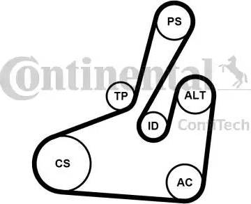 Continental 6PK1710K2 - Kit Cinghie Poly-V autozon.pro