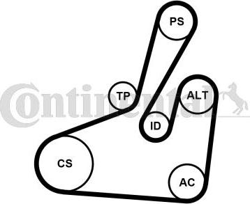 Contitech 6PK1710K2 - Kit Cinghie Poly-V autozon.pro