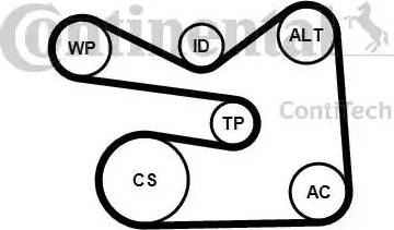 Continental 6PK1733K3 - Kit Cinghie Poly-V autozon.pro