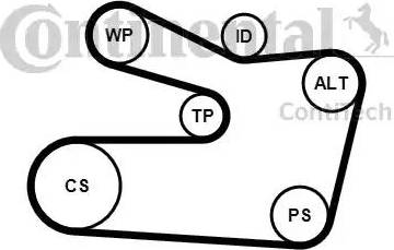 Continental 6PK1733K2 - Kit Cinghie Poly-V autozon.pro