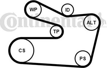 Continental 6PK1733WP1 - Pompa acqua + Kit cinghia Poly V autozon.pro