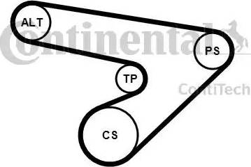 Continental 6PK1725K1 - Kit Cinghie Poly-V autozon.pro