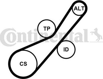 Contitech 6PK800K2 - Kit Cinghie Poly-V autozon.pro