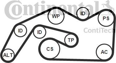 Continental 6PK2490K1 - Kit Cinghie Poly-V autozon.pro