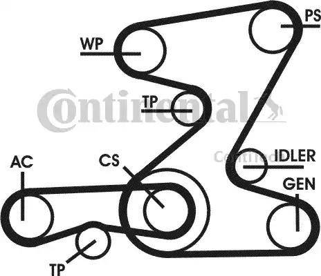 Continental 6PK2090D1 - Kit Cinghie Poly-V autozon.pro