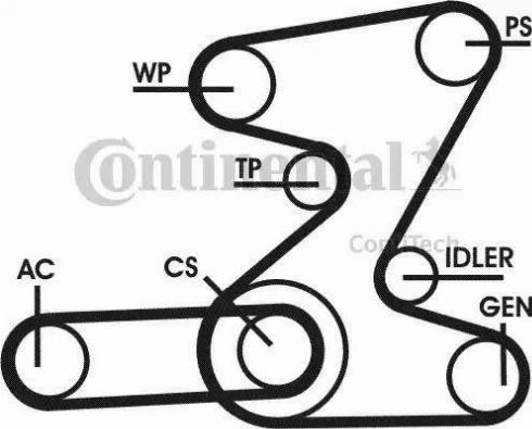 Continental 6PK2080D2 - Cinghia Poly-V autozon.pro