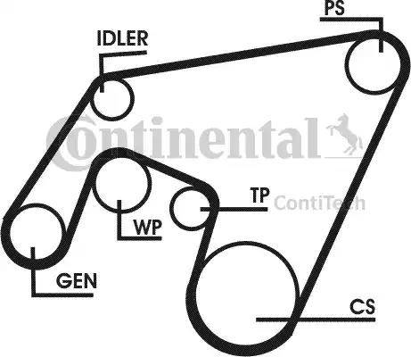 Continental 6PK2196D1 - Cinghia Poly-V autozon.pro