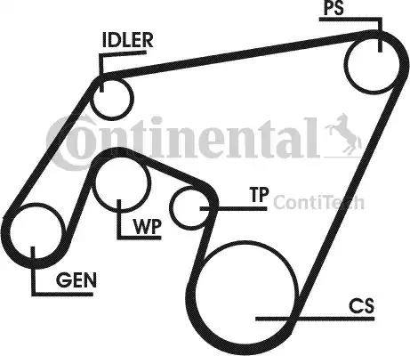 Continental 6PK2160D1 - Cinghia Poly-V autozon.pro