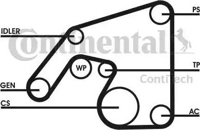 Continental 6PK2390D1 - Kit Cinghie Poly-V autozon.pro