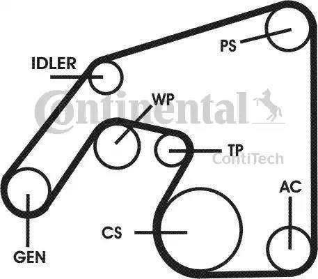 Continental 6PK2240D1 - Cinghia Poly-V autozon.pro