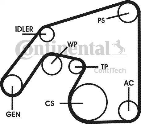 Continental 6PK2260D3 - Kit Cinghie Poly-V autozon.pro