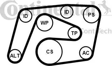 Continental 6PK2260K1 - Kit Cinghie Poly-V autozon.pro