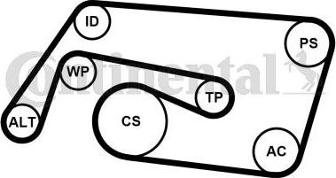 Contitech 6PK2260K2 - Kit Cinghie Poly-V autozon.pro