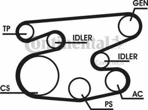 Continental 6PK2215D1 - Kit Cinghie Poly-V autozon.pro