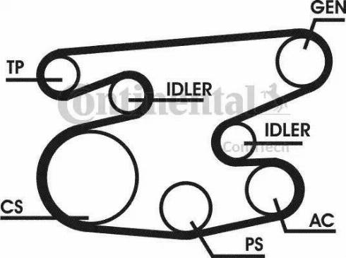 Continental 6PK2236D1 - Kit Cinghie Poly-V autozon.pro