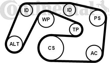 CONTITECH 6PK2271K1 - Kit Cinghie Poly-V autozon.pro