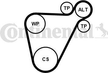 Contitech 8PK954 EXTRA K1 - Kit Cinghie Poly-V autozon.pro
