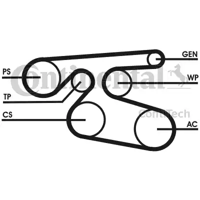 Continental 7PK2000 - Cinghia Poly-V autozon.pro