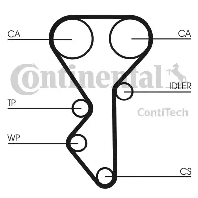 Continental CT955 - Cinghia dentata autozon.pro