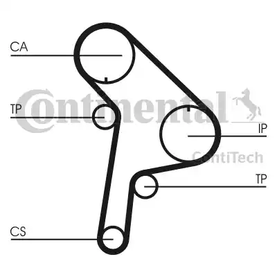 Continental CT951K1 - Kit cinghie dentate autozon.pro