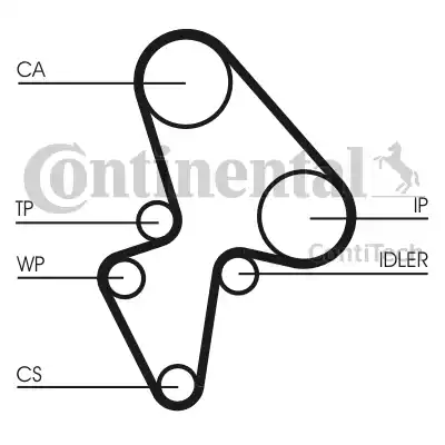 Continental CT906 - Cinghia dentata autozon.pro