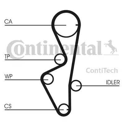 Continental CT916 - Cinghia dentata autozon.pro