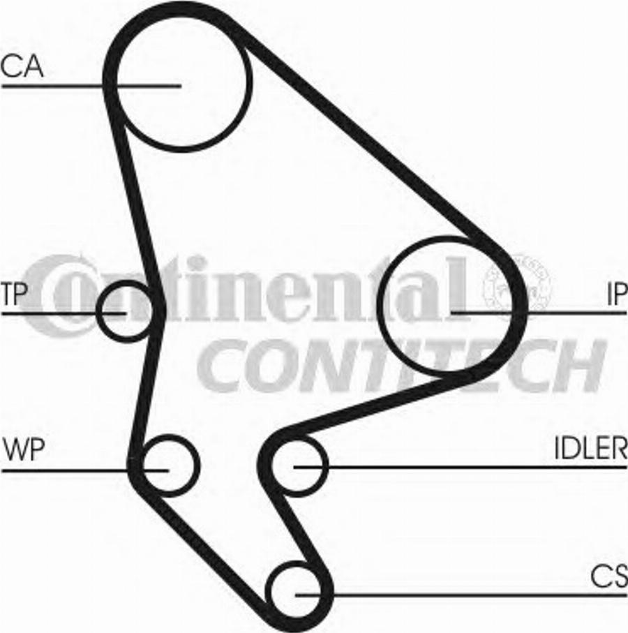 Contitech CT986K1 - Kit cinghie dentate autozon.pro