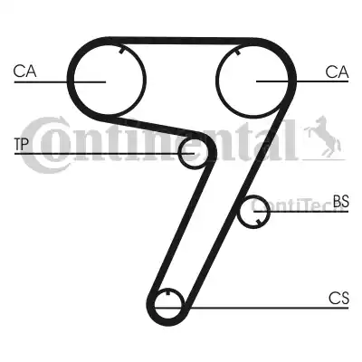 Continental CT931 - Cinghia dentata autozon.pro