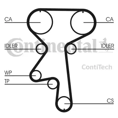 Continental CT924 - Cinghia dentata autozon.pro