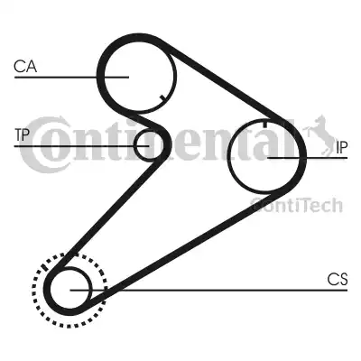 Continental CT921K2 - Kit cinghie dentate autozon.pro