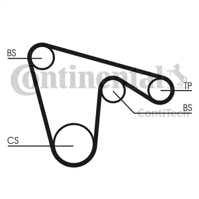 Continental CT970K1 - Kit cinghie dentate autozon.pro