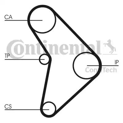 Continental CT592 - Cinghia dentata autozon.pro