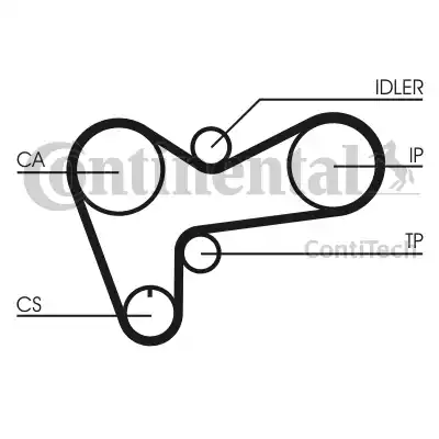 Continental CT508 - Cinghia dentata autozon.pro