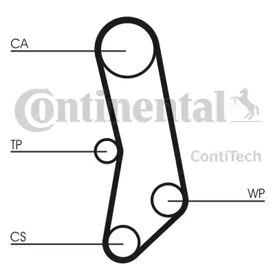 Continental CT503 - Cinghia dentata autozon.pro