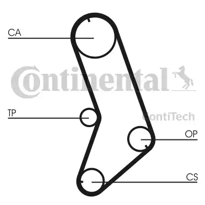 Continental CT647 - Cinghia dentata autozon.pro