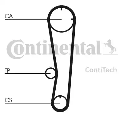 Continental CT602 - Cinghia dentata autozon.pro