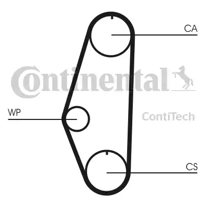 Continental CT629 - Cinghia dentata autozon.pro