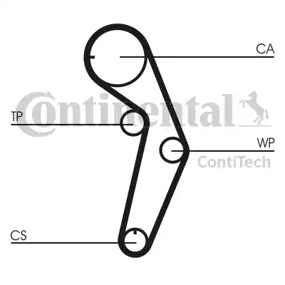 Continental CT 1048 - Cinghia dentata autozon.pro