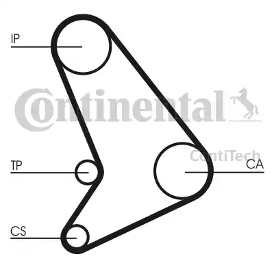 Continental CT1054 - Cinghia Poly-V autozon.pro