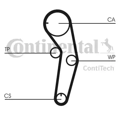 Continental CT1053 - Cinghia dentata autozon.pro