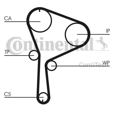 Continental CT1064K1 - Kit cinghie dentate autozon.pro