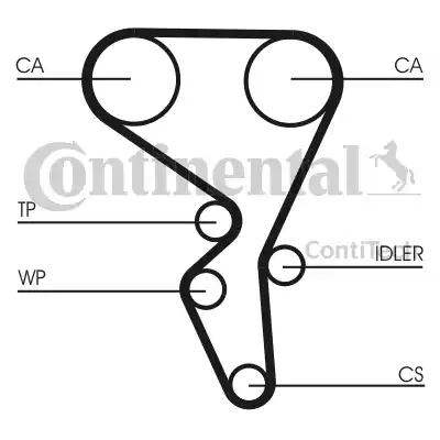 Continental CT1065 - Cinghia dentata autozon.pro