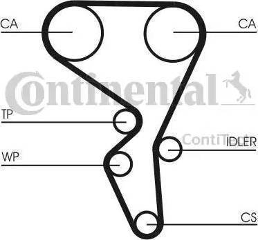 Continental CT1065K2 - Kit cinghie dentate autozon.pro