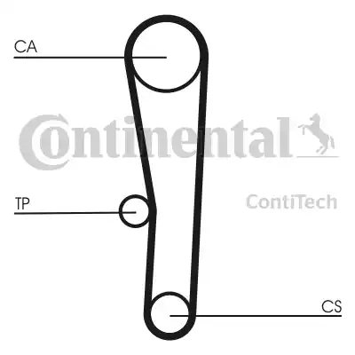 Continental CT1062 - Cinghia dentata autozon.pro