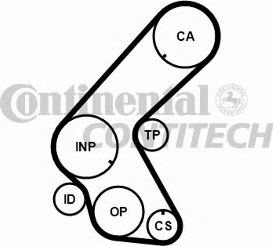 Contitech CT1014K1 - Kit cinghie dentate autozon.pro