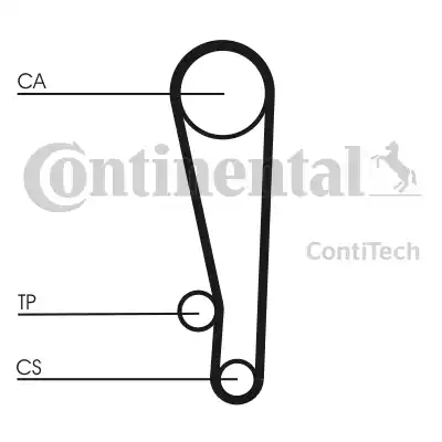 Continental CT1013K1 - Kit cinghie dentate autozon.pro