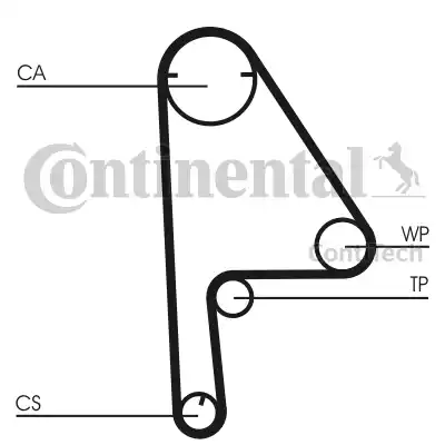 Continental CT 1081 - Cinghia dentata autozon.pro