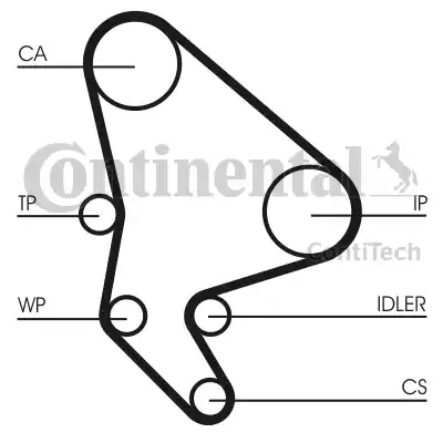 Continental CT 1037 - Cinghia dentata autozon.pro