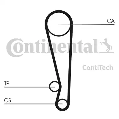 Continental CT1024 - Cinghia dentata autozon.pro